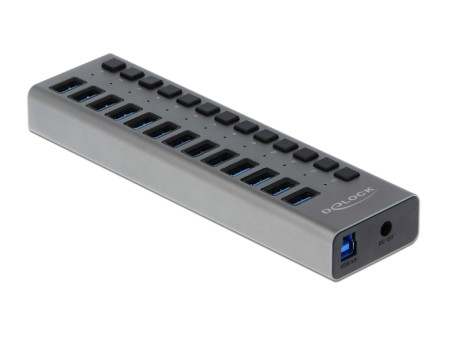 DELOCK USB hub 63738 με διακόπτες, 13x θυρών, 5Gbps, γκρι