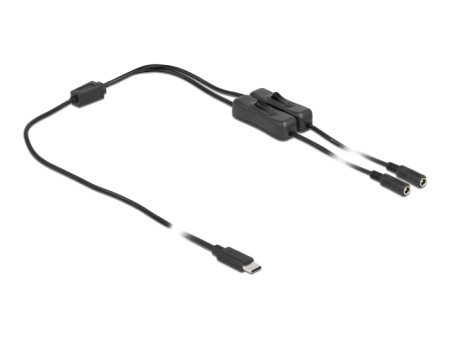 DELOCK καλώδιο USB Type-C σε 2x DC 5.5 x 2.1mm 86800, 1m, μαύρο