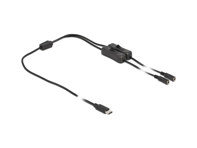 DELOCK καλώδιο USB Type-C σε 2x DC 5.5 x 2.1mm 86800, 1m, μαύρο