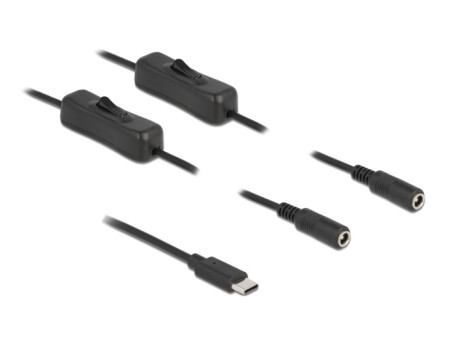 DELOCK καλώδιο USB Type-C σε 2x DC 5.5 x 2.1mm 86800, 1m, μαύρο