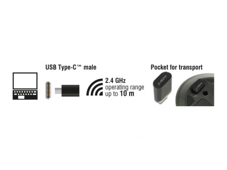 DELOCK ασύρματο ποντίκι 12526, Οπτικό, USB-C receiver, 3-button, μαύρο