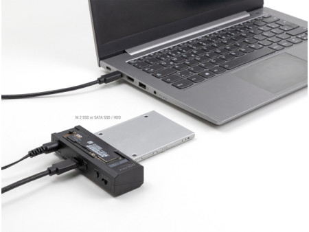 DELOCK docking station 64253 για M.2 NVMe/SATA SSD & HDD, 10Gbps, μαύρο