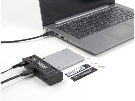 DELOCK docking station 64252 για M.2 NVMe/SATA SSD & HDD, clone function