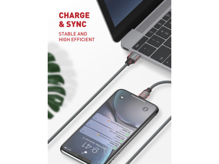 LDNIO καλώδιο USB-C σε USB LS441, 12W, 1m, γκρι