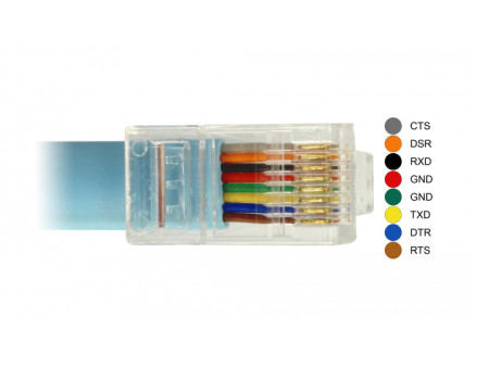 DELOCK Καλώδιο Serial RS-232 DB9 female σε RJ45 male, 1m, μπλε