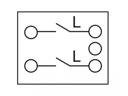 DELOCK module διακόπτης Easy 45 81360, μονός, 2-pole, 1-way, λευκός