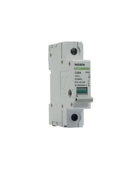 Ραγοδιακόπτης , 1 πόλος , 100A