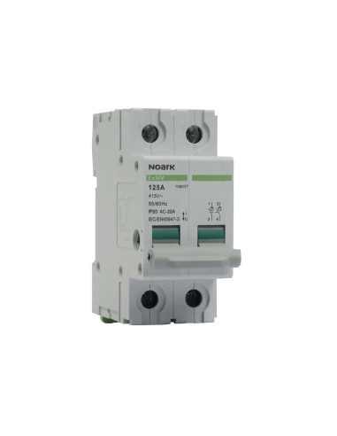 Ραγοδιακόπτης , 2 πόλοι , 100A