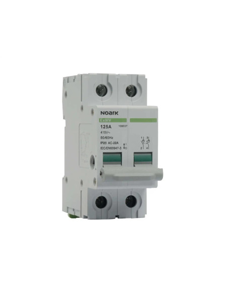 Ραγοδιακόπτης , 2 πόλοι , 100A